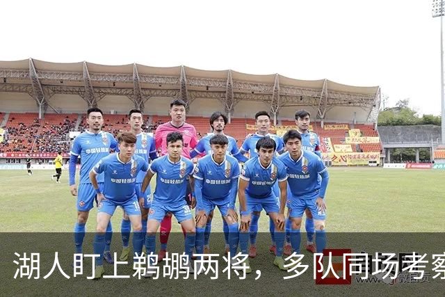 湖人盯上鹈鹕两将，多队同场考察墨菲与琼斯